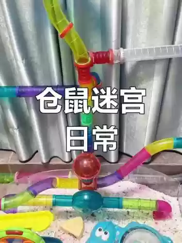 不思议迷宫仓鼠阵容搭配，不思议迷宫 仓鼠插图1