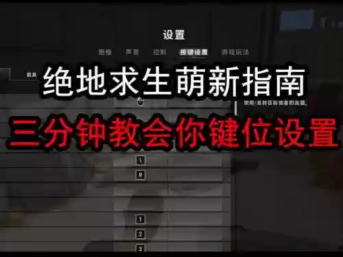 绝地求生小队最强阵容搭配，绝地求生小队语音快捷键插图1