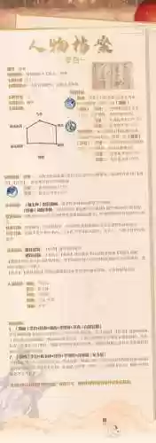 李白阵容搭配，李白阵容搭配思路插图1