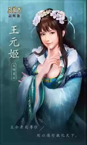 王元姬阵容搭配鸿图之下，王元姬好用吗插图