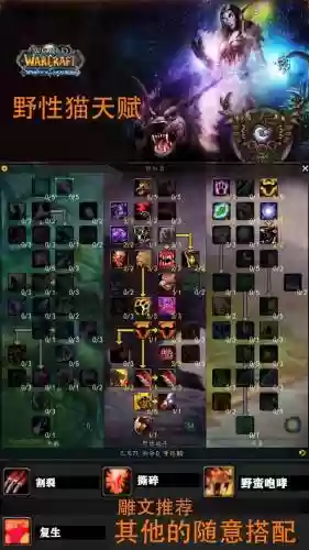 德鲁伊otk技能秒杀,德鲁伊什么技能插图 德鲁伊otk技能秒杀,德鲁伊什么技能插图