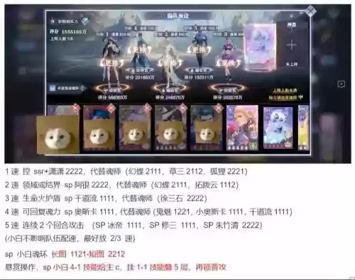 小白搭配什么阵容好，小白后手阵容插图