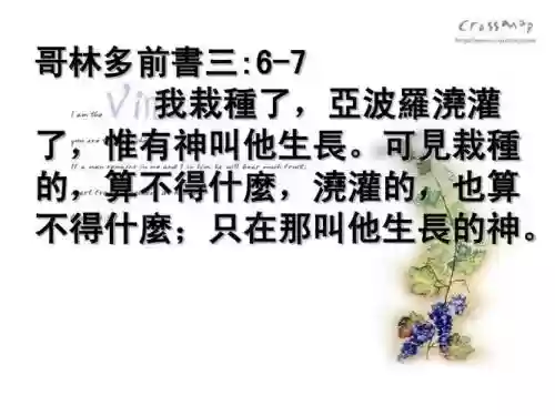 辽愈仁心攻略，哥林多前书三章讲章插图1