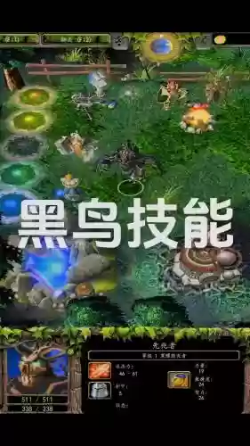 黑鸟dota2大型攻略，dota2黑鸟教学插图