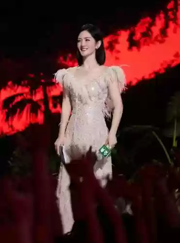 谢娜主持阵容搭配，谢娜同台主持人插图