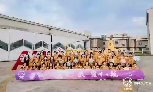 梦幻导师阵容搭配最新，梦幻导师阵容搭配最新版插图1