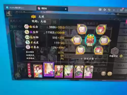 萝顿阵容搭配，天照阵容搭配插图1