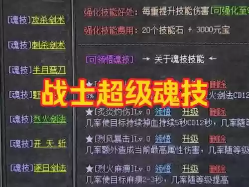 热血传奇武士技能升级，传奇 武士技能插图