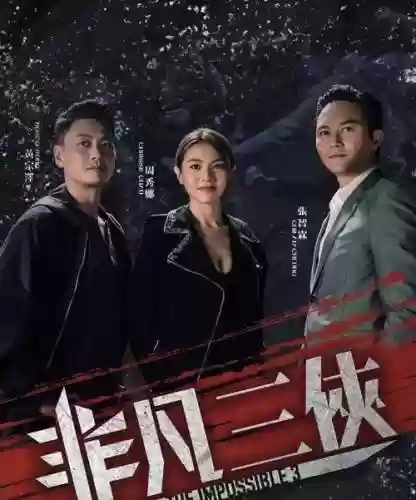 非凡三侠演员阵容搭配，非凡三侠说什么插图