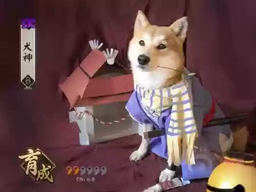 新版犬神阵容搭配,新版犬神阵容搭配推荐插图1 新版犬神阵容搭配,新版犬神阵容搭配推荐插图1