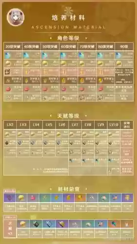 诺艾尔搭配阵容，诺艾尔配装插图