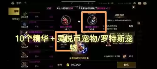 dnf宠物装备怎么得到的，dnf宠物装备在哪弄插图1