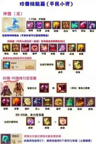 天龙八部手游熊猫宝宝打什么技能，天龙八部手游熊猫珍兽怎么获得插图