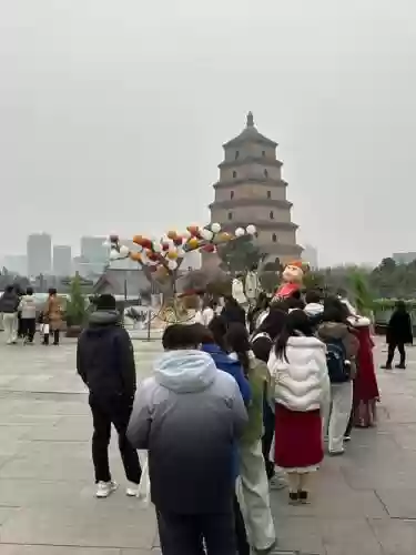 大雁塔阵容搭配图，大雁塔刷新时间插图