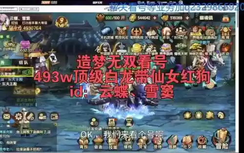 梦幻西游无双无线网上不了，梦幻无双账号插图1