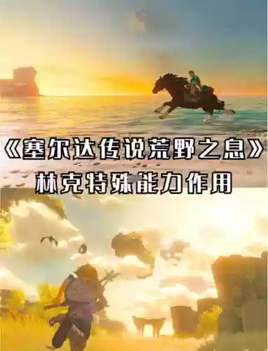 塞尔达传说技能学习,赛尔达传说技能怎么用插图1 塞尔达传说技能学习,赛尔达传说技能怎么用插图1