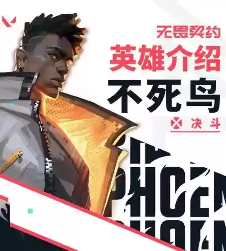 不死鸟对技能回血有效果吗,不死鸟输出手法插图 不死鸟对技能回血有效果吗,不死鸟输出手法插图